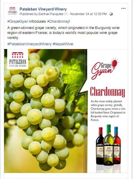 Pataleban Vineyard Winery work